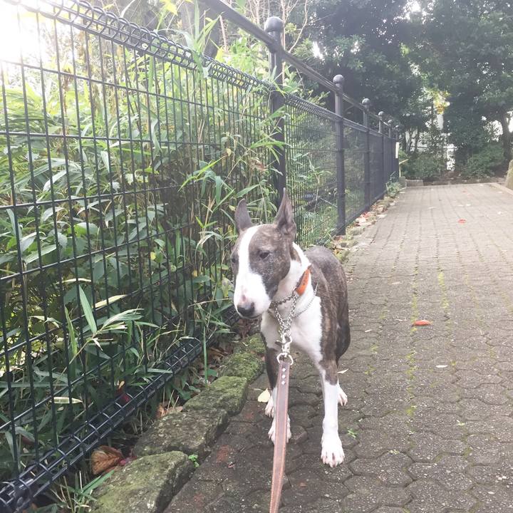 7a0878a8 3b9d 4811 bae0 90717bb21748