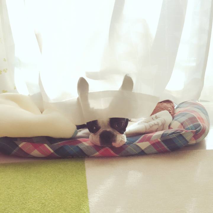 7a08e7bb fb03 4511 9de2 299c9ef27663