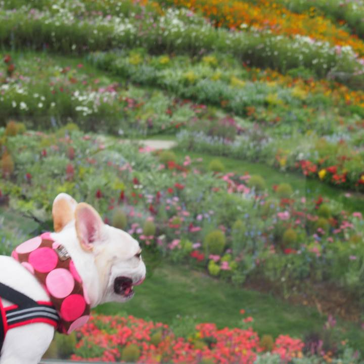 7a09162f 830c 4823 bb07 3ab4f3aa554b