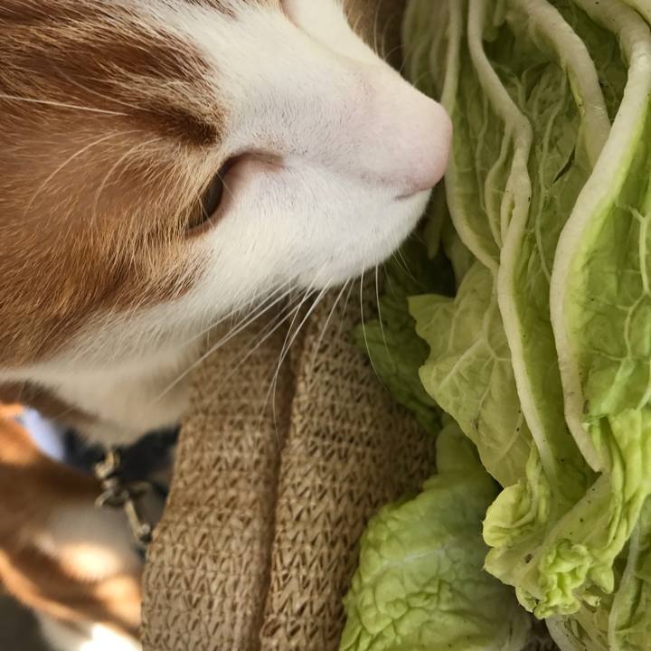 7a092717 c69c 4e9b a802 a032e5bdb719