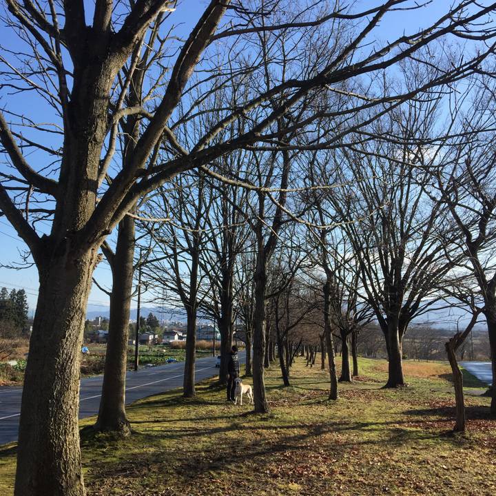 7a0975b2 4d24 4a63 85dd aeaaaf542e84