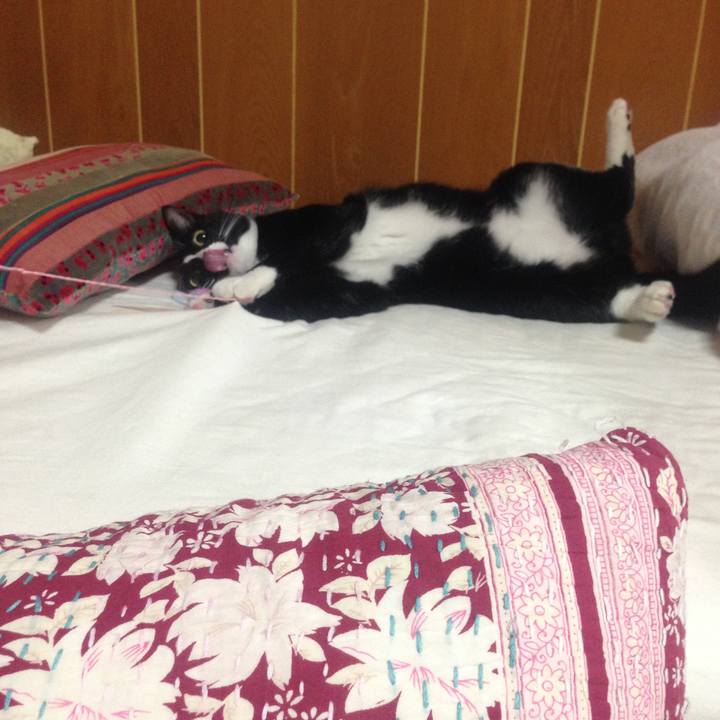 7a097a43 353b 41dd 816b 68fefdce6bd9