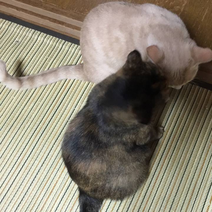 7a0990f7 fb2d 485e a082 25145a5bdd4d