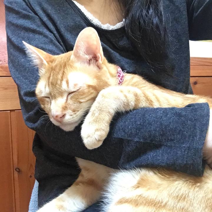 7a0a3ebb fd0d 469b ba52 71e68392798d