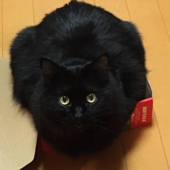 7a0ad7c7 5f0f 4287 b7ef 7ecbc3e2de74