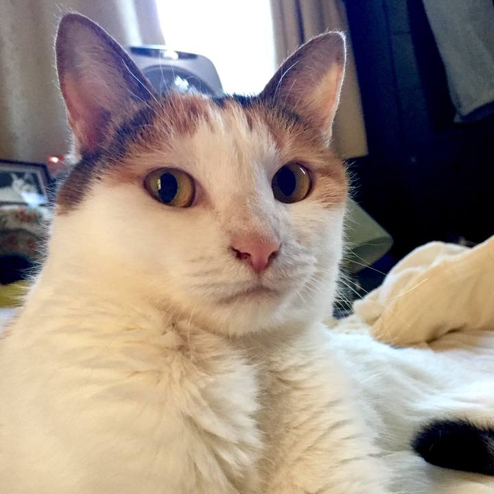 7a0b8151 51c2 493a 9f4f 09aaeb6c9dbb