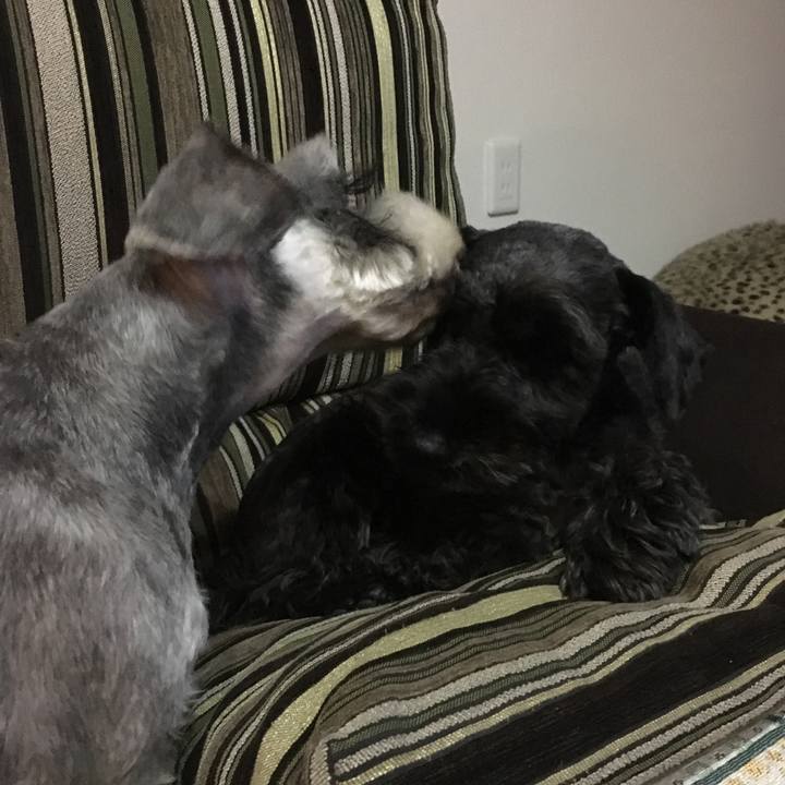 7a0bc1c0 9da7 4973 90bd 93e8bfc0e7c4