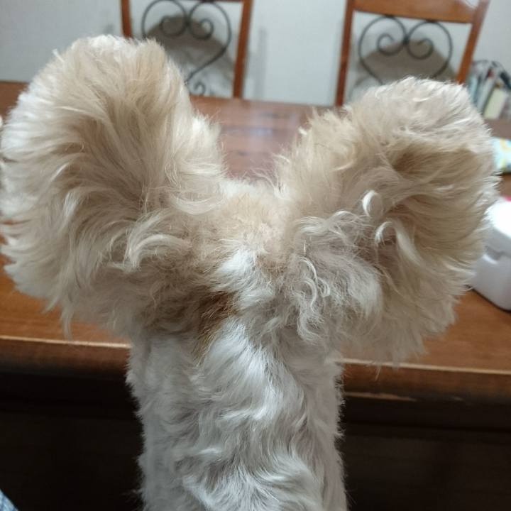 7a0c1114 658d 42ee 92a8 a50c17e7b1aa