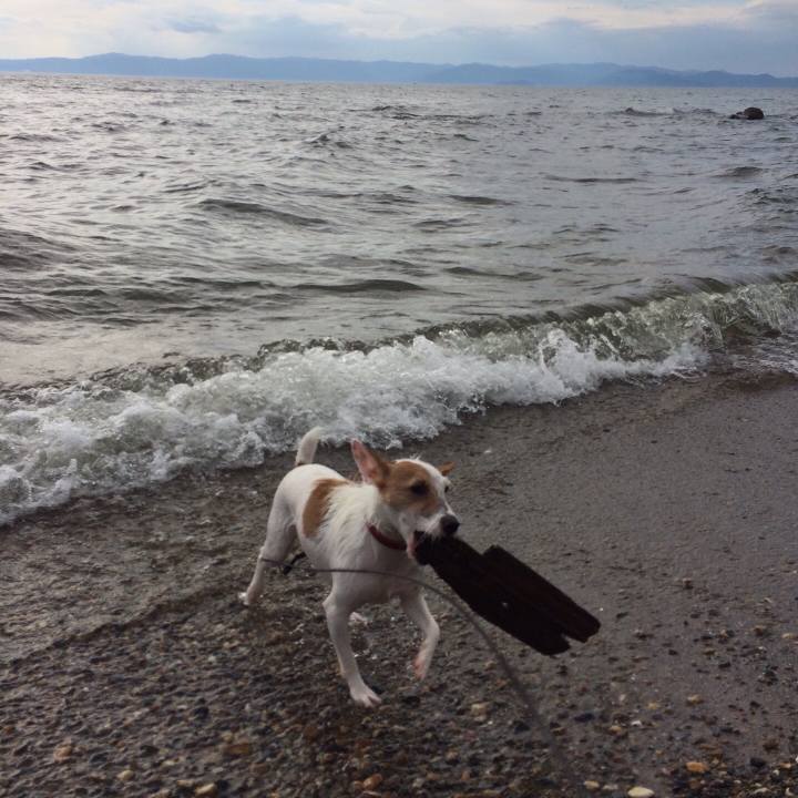 7a0c3ea8 fe90 4f37 b24d b97a8a34dff5