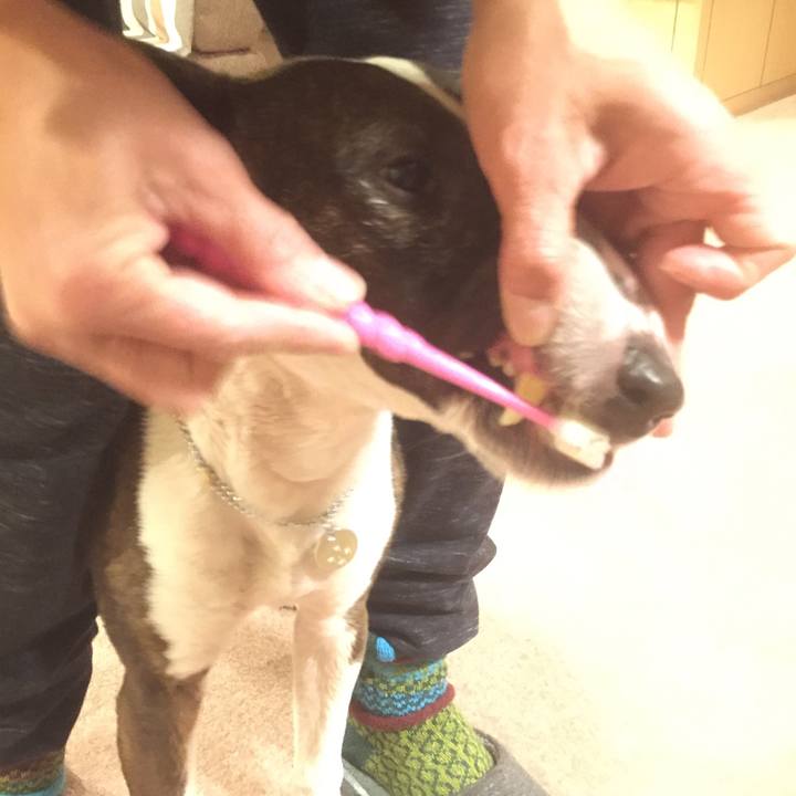 7a0c4638 3dc1 4bcc b77a ee46a2daea6f