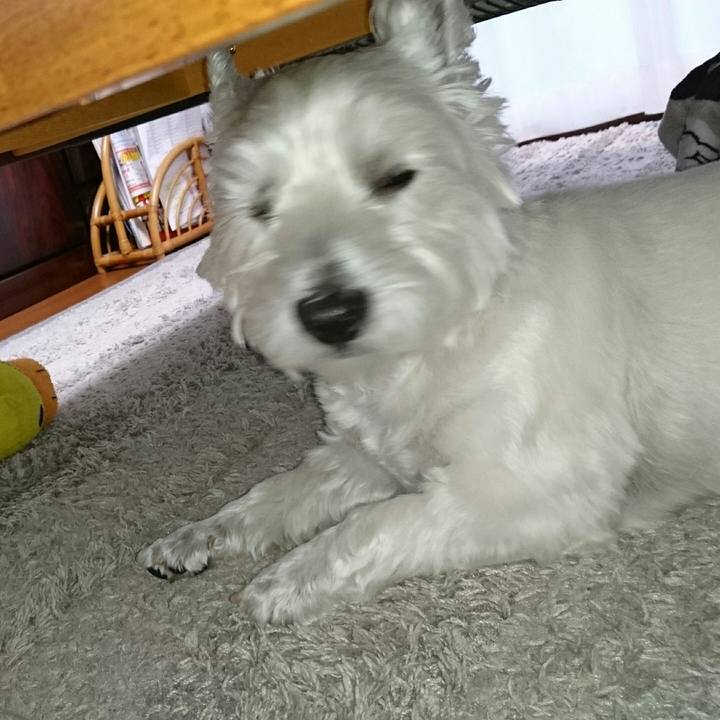 7a0c7196 a0b9 4c0c b71a 2a5b7c31bc13