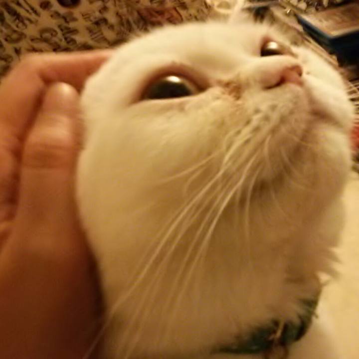 7a0cbf73 d2da 41c0 a82f c42a97e75ef1