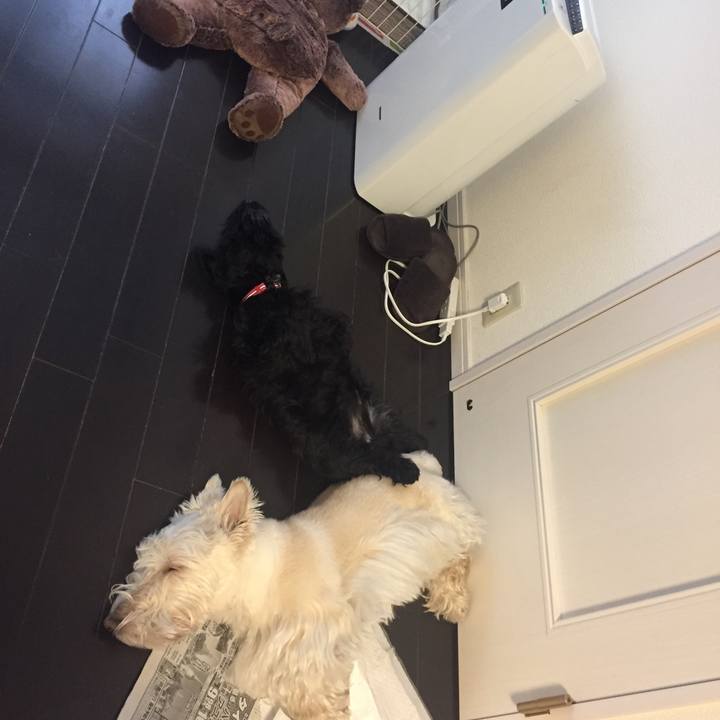 7a0cc76f 0d34 4738 ba0d 7530a611a95e