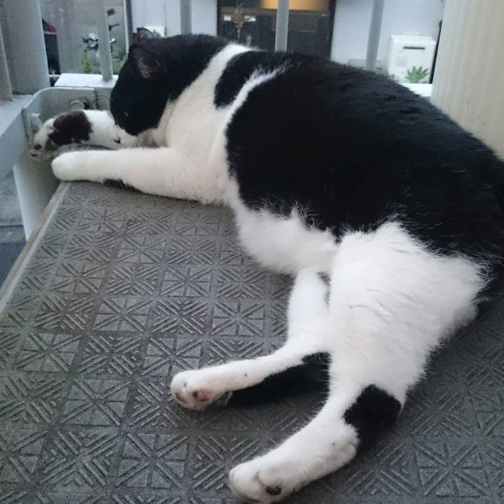 7a0d4987 230a 4170 ac61 e8ec790df339