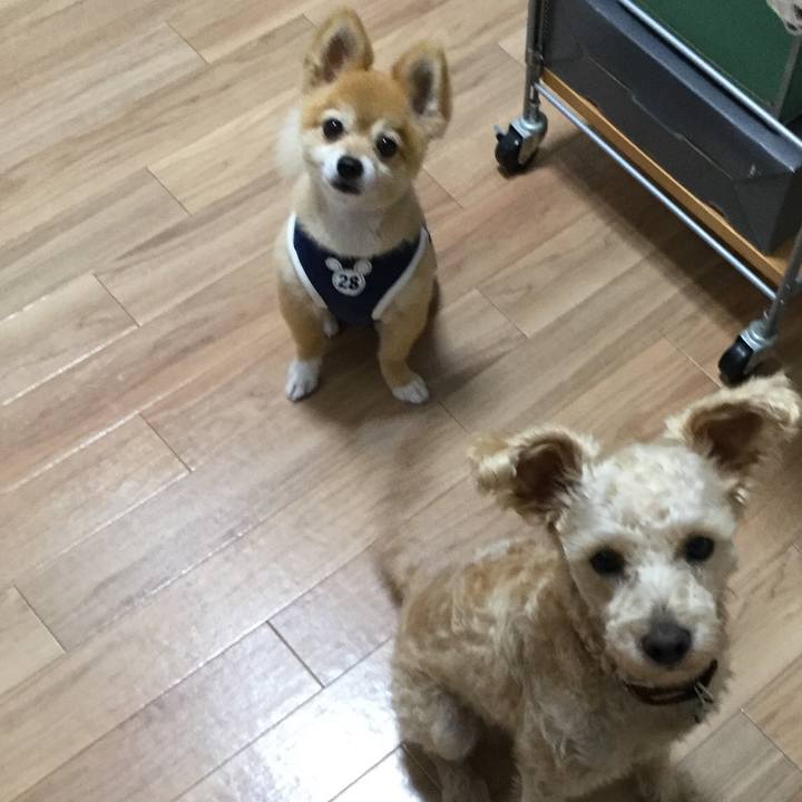 7a0dd0f9 6896 4782 ab07 b64b33c9db7b