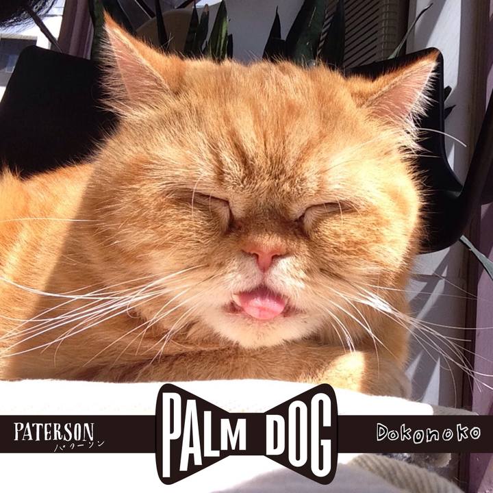 7a0dd3ac 5933 4fea a3e5 c8f5c6c592ea