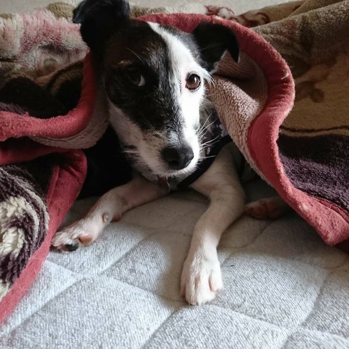 7a0e5b34 1689 4835 867b 422f83d63f02