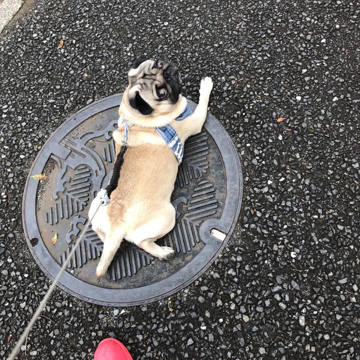 7a0e7d97 5015 4b94 bbbd 3da7eb0ac269