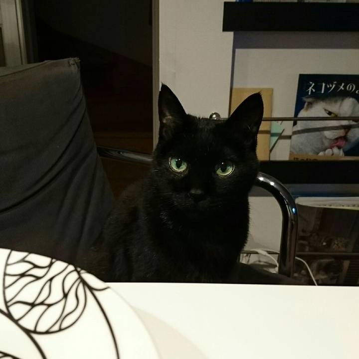 7a0f227a 58ab 4e7b 9e9f 7ab2cca15a57