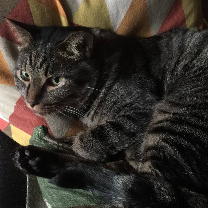 7a0f4fcc 3ea7 4773 bdb6 56989fac5941