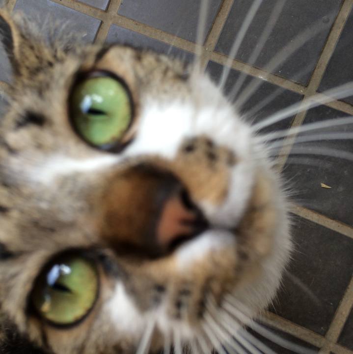 7a0f67a0 ac37 4f5e a0f5 e533fd21c6c0