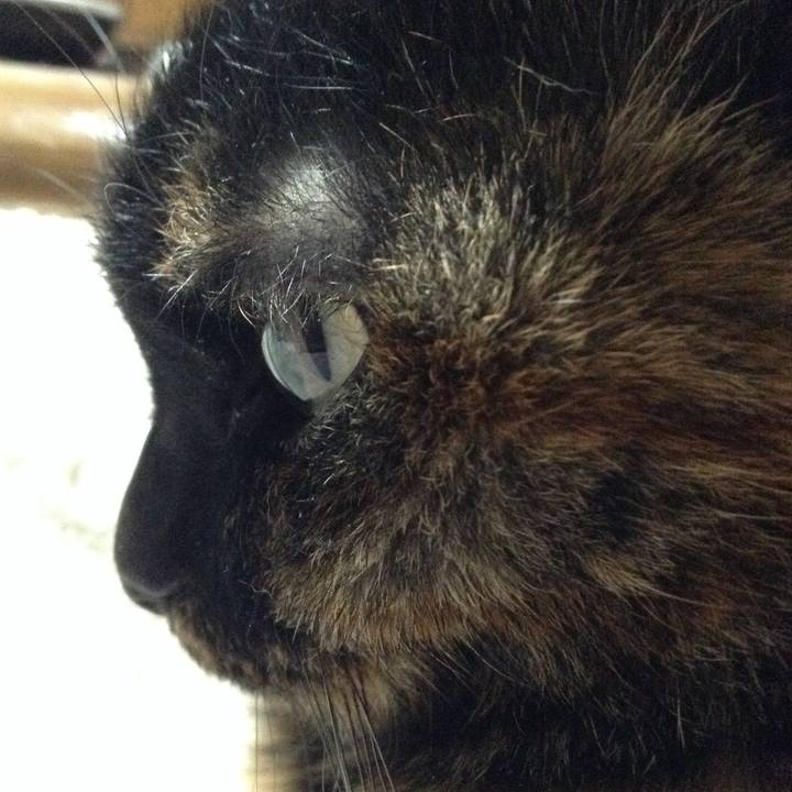 7a0fefe8 3a44 4f68 88cd 526ed904d123