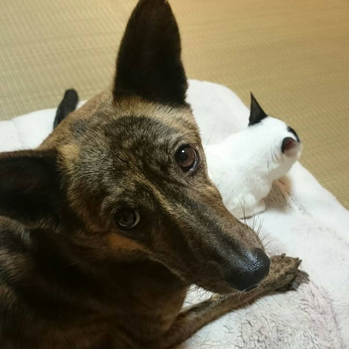 7a113d2b ce4a 4c2e 92bc 4f7502504dc7