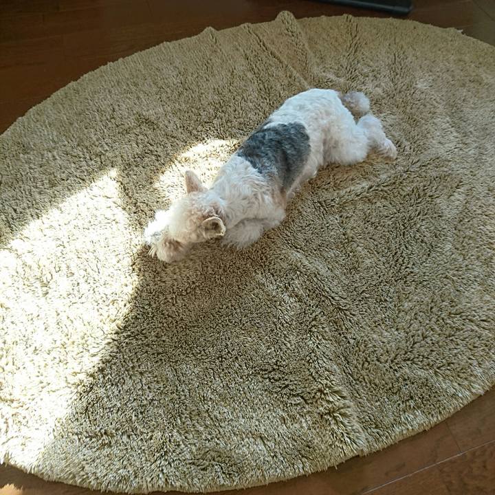 7a117a89 5833 49fc 86fd bbbd7196f7de