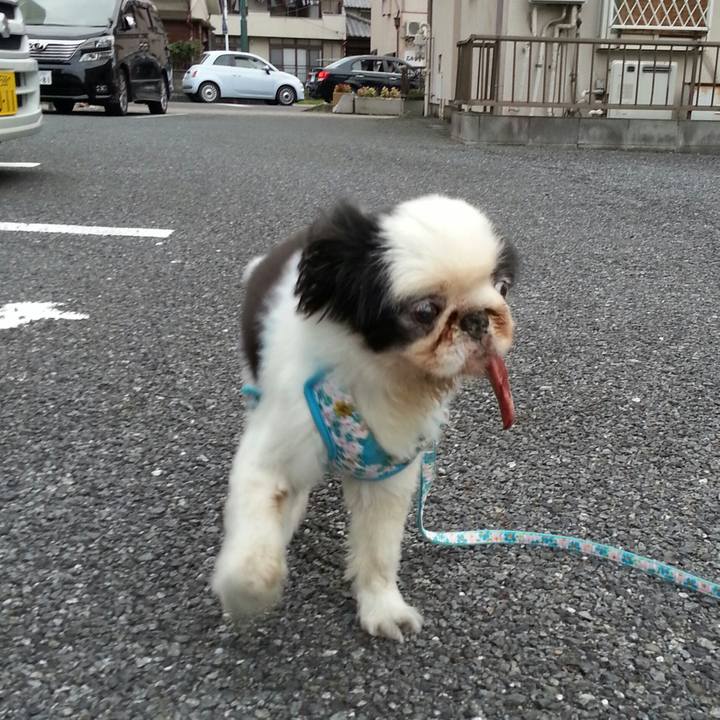 7a11d8f8 5d41 43ca b15f 7a562ab0e30d