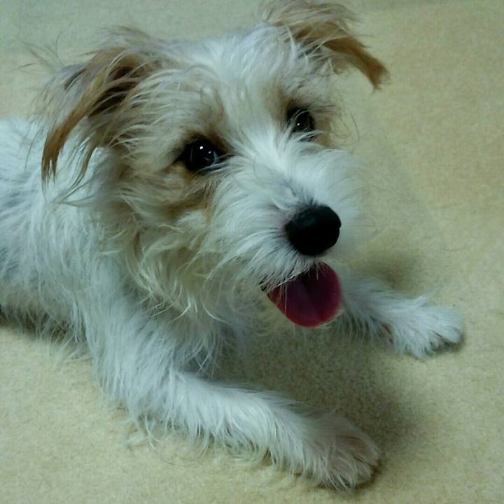 7a11fa39 8b5a 4992 9cb8 ee8779d21b17