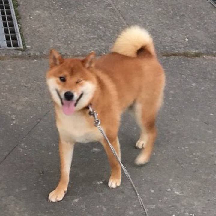 7a121ebf 705c 4e8b 8683 2a108bf8a396