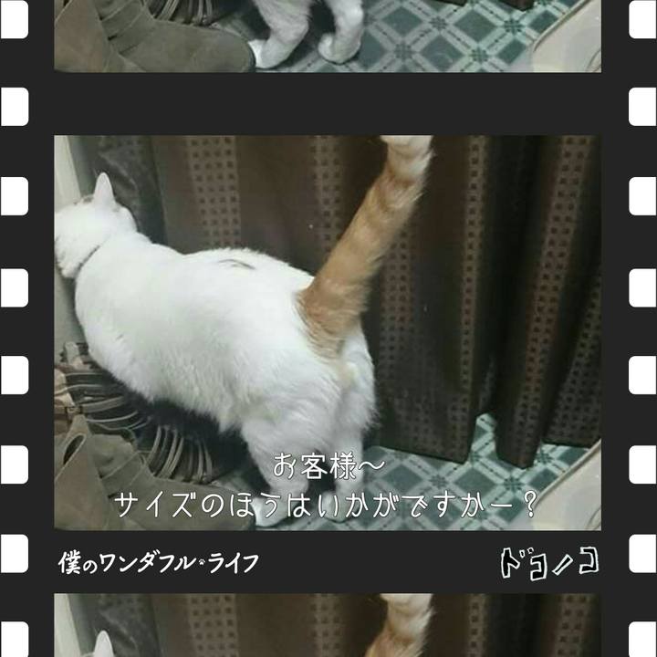7a12ebd9 24fe 4b08 9427 ed75e09db457