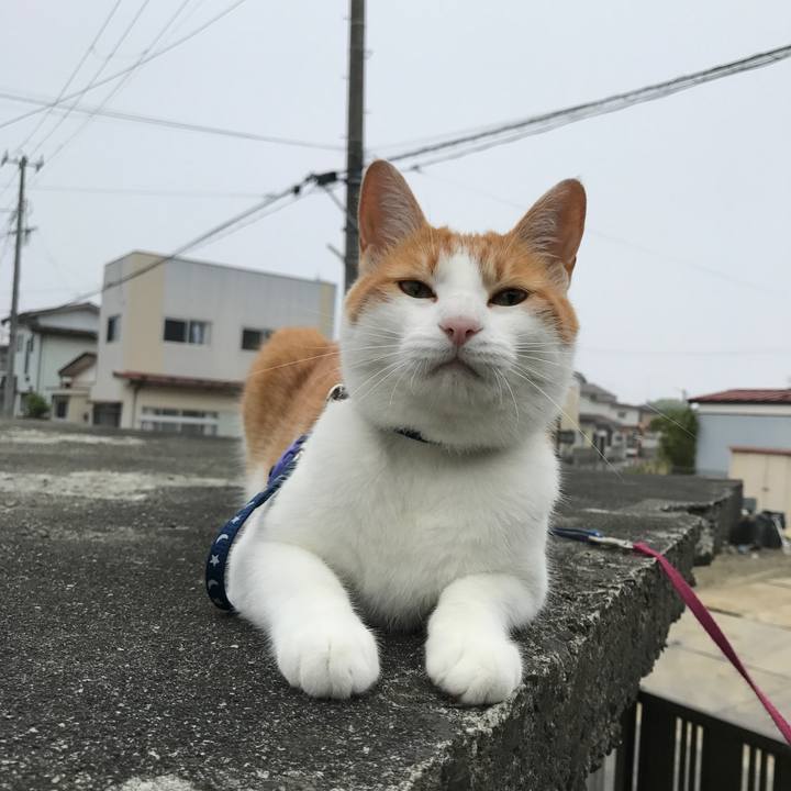 7a12f2d9 5dd2 4ad5 8d19 9c28ca5e046f