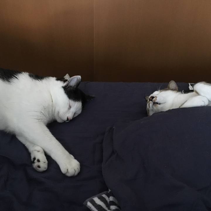 7a12f306 7c63 4cd2 a43a 604cee81b955