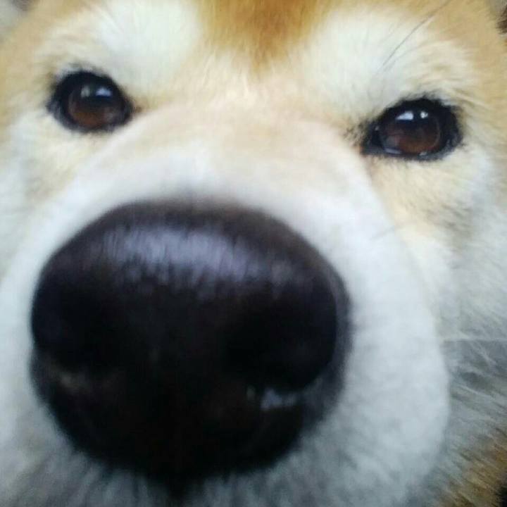 7a13929d e5c8 45ef 962c a2082540fa61