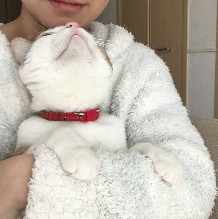 7a13df62 09c0 4da5 bb17 ab21bc8cc985