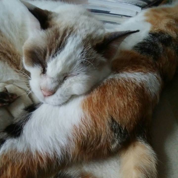 7a146cde 2b07 4e1f 8213 72c4b1b6c03e