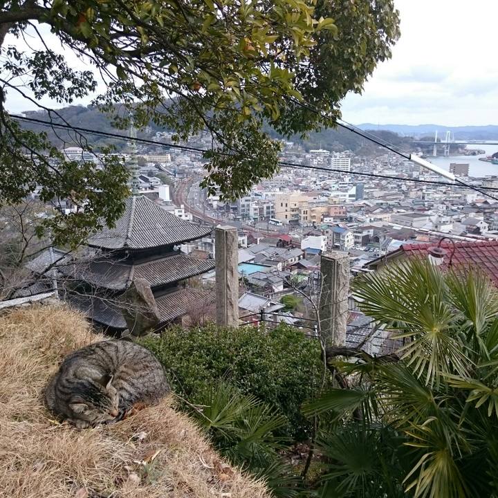 7a15cfa1 c8a0 4cf8 9f08 70c8cb851059