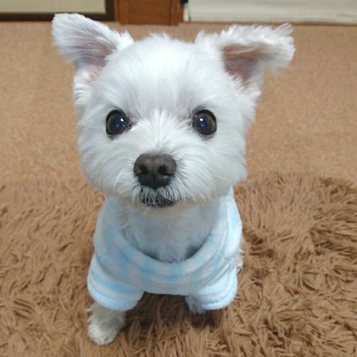 7a163010 7e4d 40b6 bb16 f361dbb3e979