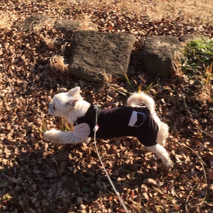 7a163456 59cf 4ee3 8285 fb347692a6c8