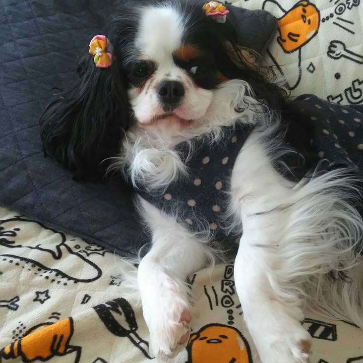 7a163463 d909 4141 ae44 8bc636d24bc6