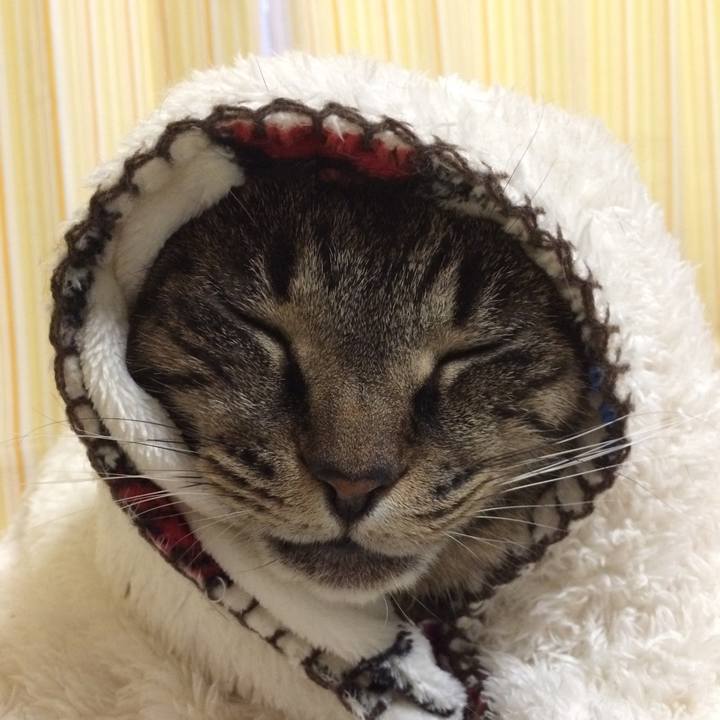 7a1664b3 4588 4f78 85e3 4f76b7915316