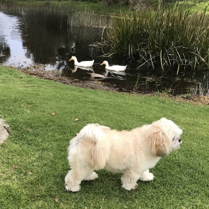 7a167b68 be6a 41d0 b68a 373231385fa8