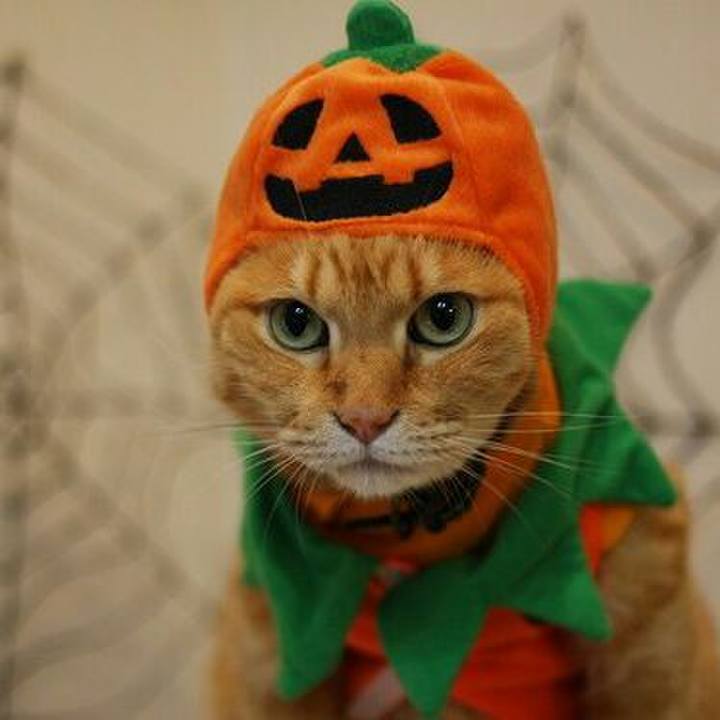 7a16849d f1f2 450b a850 5eb8a8c84b9b