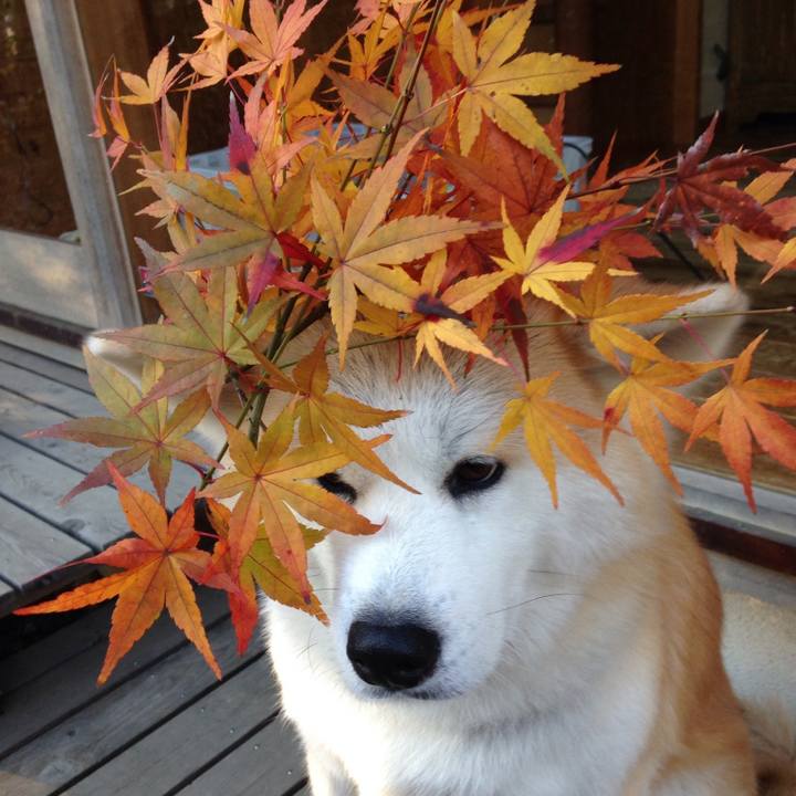 7a16cc78 47c7 4c10 952f b5edc206f7b3