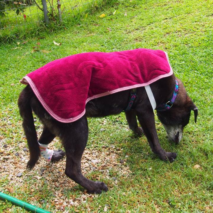 7a170f89 07e3 43e1 bac7 057b43265c0b