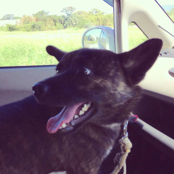 7a176962 6143 4335 aeea 80717810a219