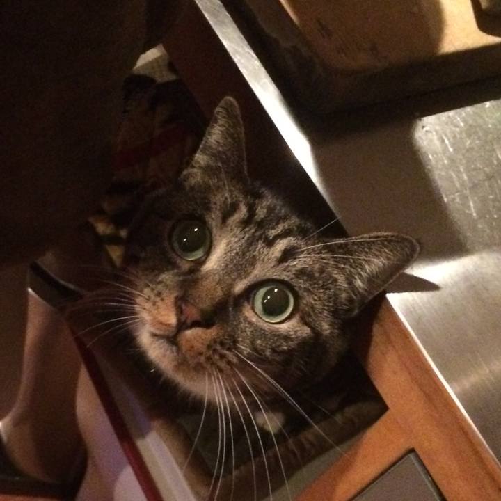 7a17c832 d352 4327 8656 cca0d7e945a0