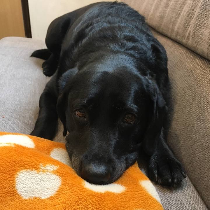 7a183b63 a4b2 430e 96a6 b3645125d610