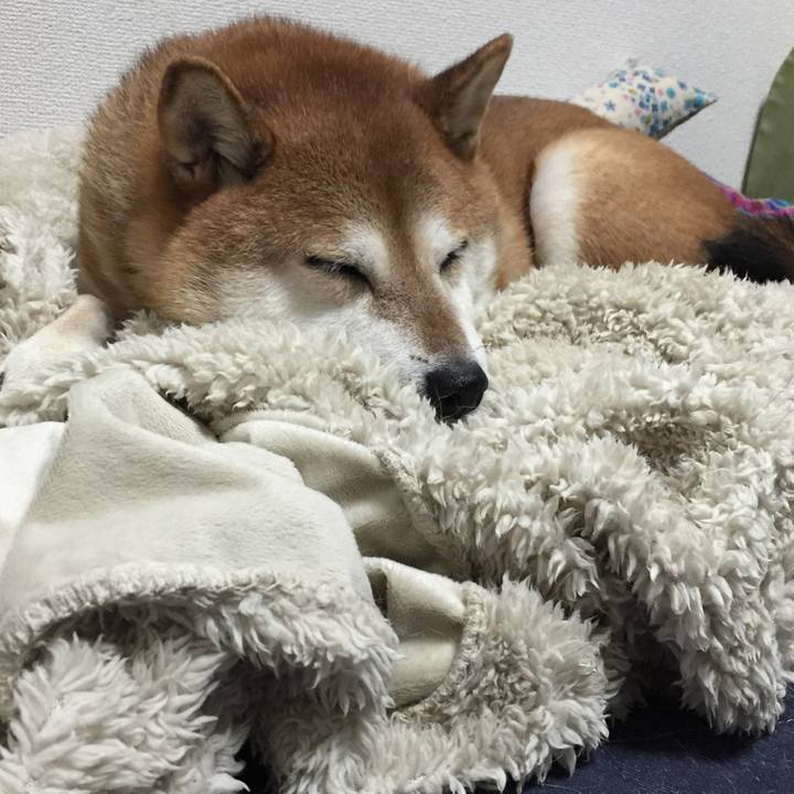 7a18baaf d45b 4eb6 a026 84823dcd131f